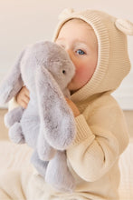 
                        
                          將圖片載入圖庫檢視器 Snuggle Bunnies Penelope - Silver 30cm
                        
                      