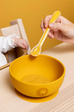 
                        
                          Load image into Gallery viewer, Trixie Feeding Spoons 3-Pack - Mr Lion
                        
                      