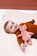 
                        
                          Load image into Gallery viewer, Trixie Plush Toy Baby - Mrs Cat
                        
                      