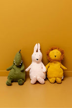 
                        
                          Load image into Gallery viewer, Trixie Plush Toy Large - Mr Dino
                        
                      
