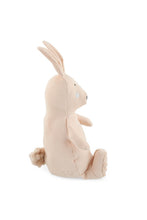 
                        
                          Load image into Gallery viewer, Trixie Plush Toy Small - Mrs Rabbit
                        
                      