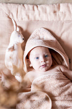 
                        
                          Load image into Gallery viewer, Trixie Plush Toy Small - Mrs Rabbit
                        
                      