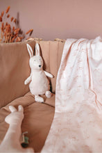 
                        
                          Load image into Gallery viewer, Trixie Plush Toy Small - Mrs Rabbit
                        
                      