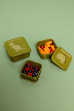 
                        
                          Load image into Gallery viewer, Trixie Snack Box Nesting - 3pcs - Mr Dino
                        
                      