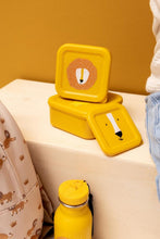 
                        
                          Load image into Gallery viewer, Trixie Snack Box Nesting - 3pcs - Mr Lion
                        
                      