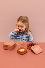 
                        
                          Load image into Gallery viewer, Trixie Snack Box Nesting - 3pcs - Mrs Cat
                        
                      