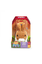 
                        
                          將圖片載入圖庫檢視器 Addo Pitter Patter Pets Teeny Weeny Bunny - Brown Electronic Pet
                        
                      