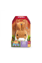 
                        
                          Load image into Gallery viewer, Addo Pitter Patter Pets Teeny Weeny Bunny - Brown Electronic Pet
                        
                      