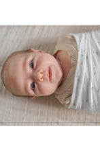 
                        
                          Load image into Gallery viewer, Aden + Anais Essential Silky Soft Swaddle Healing Nature - 2-Pack 4
                        
                      