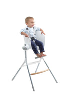 
                        
                          Load image into Gallery viewer, Beaba Up Down High Chair Greywhite 3
                        
                      