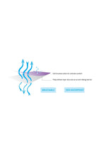 
                        
                          Load image into Gallery viewer, Clevamama Clevabed Mattress Protector King Size 150 X 200Cm 4
                        
                      