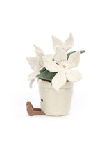 
                        
                          Load image into Gallery viewer, Jellycat Amuseable Gold Poinsettia 2
                        
                      