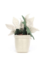
                        
                          Load image into Gallery viewer, Jellycat Amuseable Gold Poinsettia 3
                        
                      