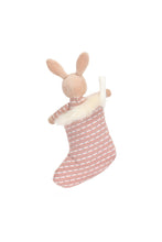 
                        
                          將圖片載入圖庫檢視器 Jellycat Shimmer Stocking Bunny 4
                        
                      