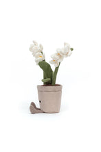 
                        
                          Load image into Gallery viewer, Jellycat Amuseable Cream Orchid 2
                        
                      