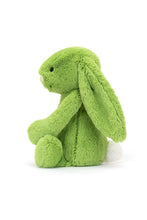 
                        
                          Load image into Gallery viewer, Jellycat Bashful Apple Bunny 2
                        
                      