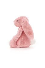 
                        
                          Load image into Gallery viewer, Jellycat Bashful Petal Bunny 2
                        
                      