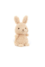 
                        
                          Load image into Gallery viewer, Jellycat Little Bunny 1
                        
                      