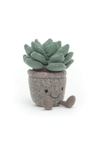 
                        
                          Load image into Gallery viewer, Jellycat Silly Succulent Azulita 1
                        
                      