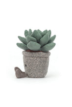 
                        
                          Load image into Gallery viewer, Jellycat Silly Succulent Azulita 2
                        
                      