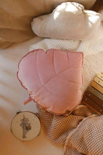 
                        
                          將圖片載入圖庫檢視器 Moi Mili Soft Pink Velvet Leaf Pillow 1
                        
                      
